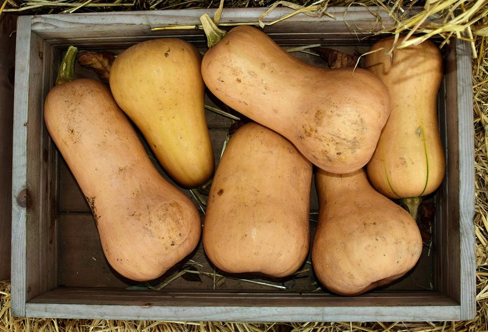 Flespompoenen in een houten kist